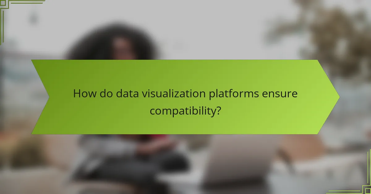 How do data visualization platforms ensure compatibility?