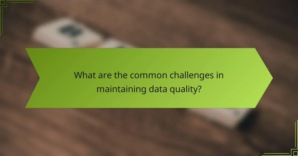 What are the common challenges in maintaining data quality?